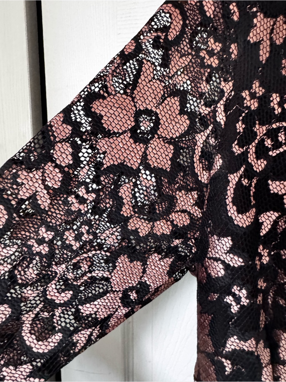Kiyonna Black Dress with Blush Lace Accents - Picture 6 of 8